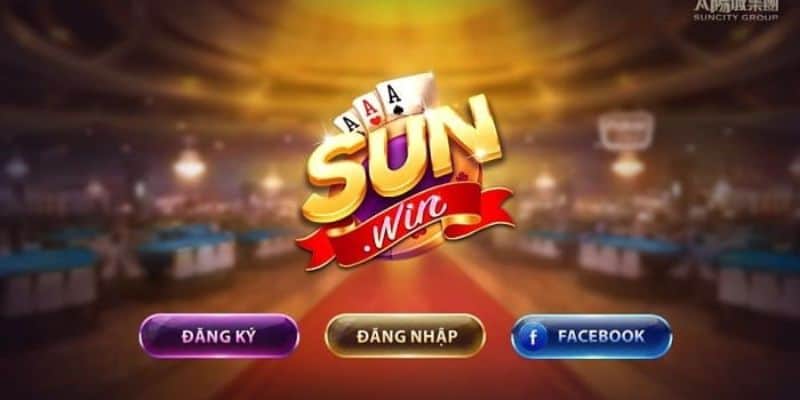 sunwin 677ee5dc18eb4
